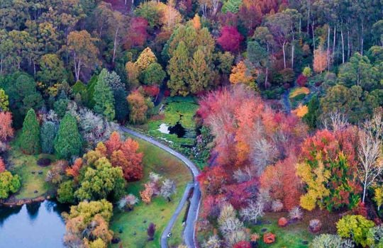 Mount Lofty Botanic Garden