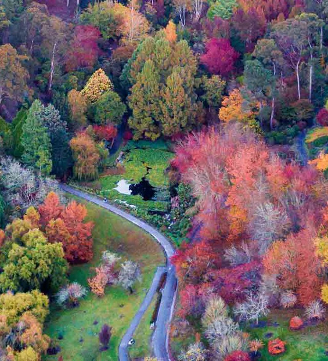 アデレードヒルズでの体験とアトラクション