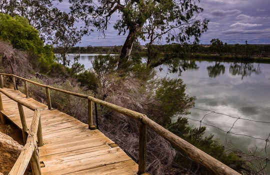 ガウト・ガウト Ngaut Ngaut