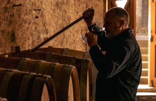 セブンヒル・セラーズ Sevenhill Cellars, Clare Valley