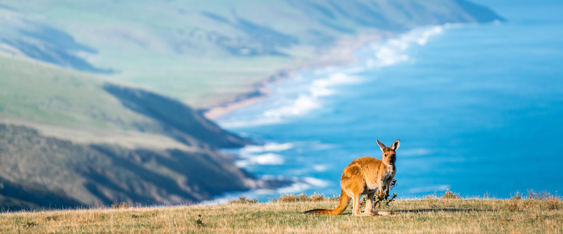 おすすめの地域
