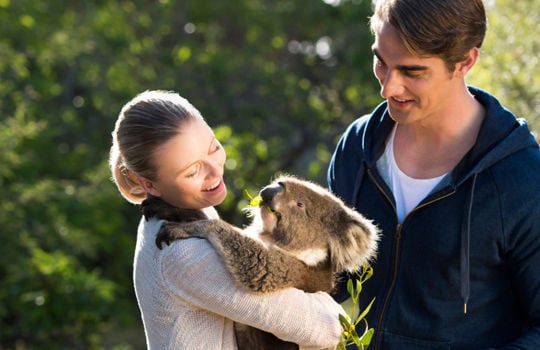 カンガルー島の野生動物 Kangaroo Island Wildlife