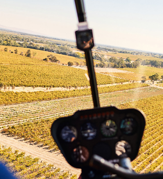 フルリオ半島での体験とアトラクション