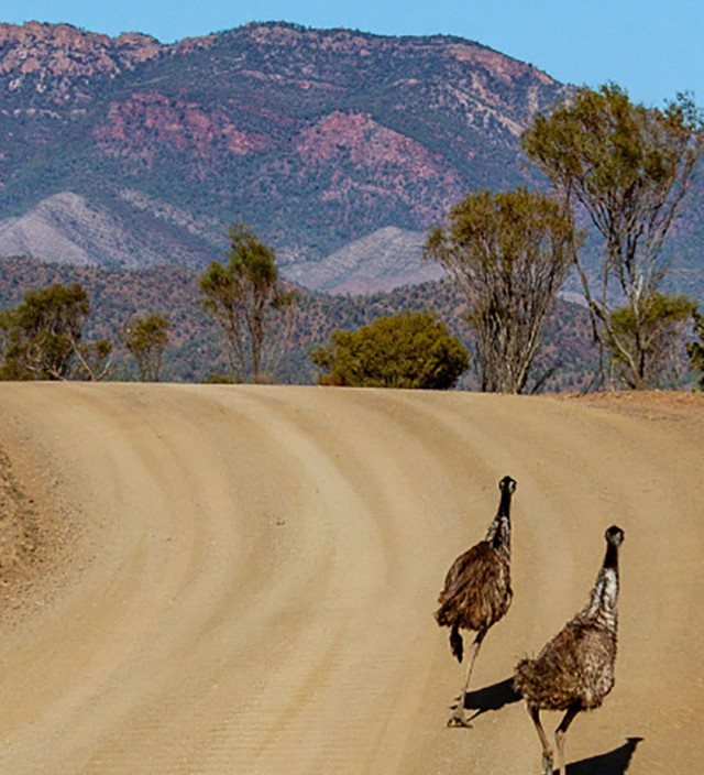 南オーストラリアでのサステイナブルな旅の体験