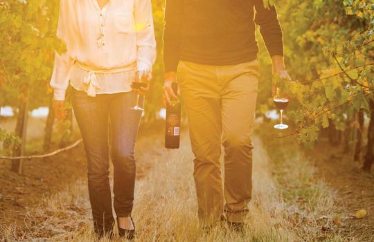 クレアのブドウ畑 Clare Vineyards