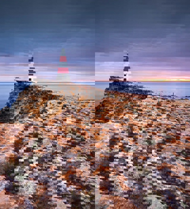 ライムストーン・コーストのおすすめアクティビティー