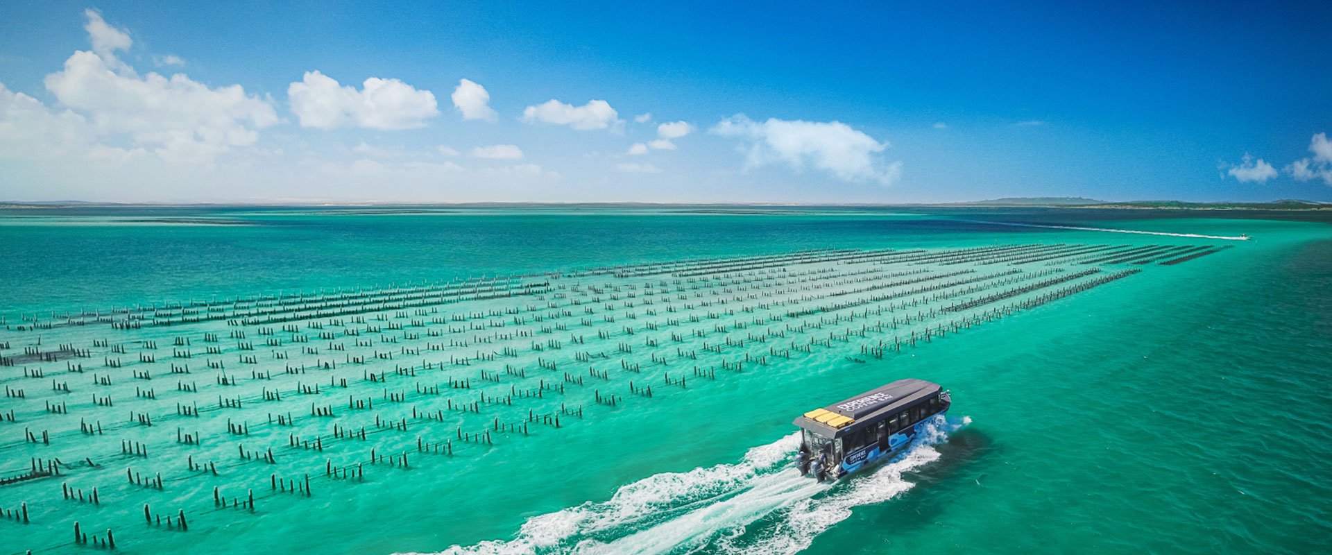 オイスターファームツアー、コフィンベイ、エア半島　Oyster Farm Tours, Coffin Bay, Eyre Peninsula 