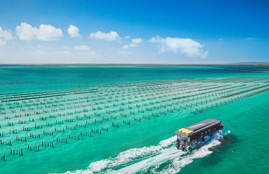 オイスターファームツアー、コフィンベイ、エア半島 Oyster Farm Tours, Coffin Bay, Eyre Peninsula