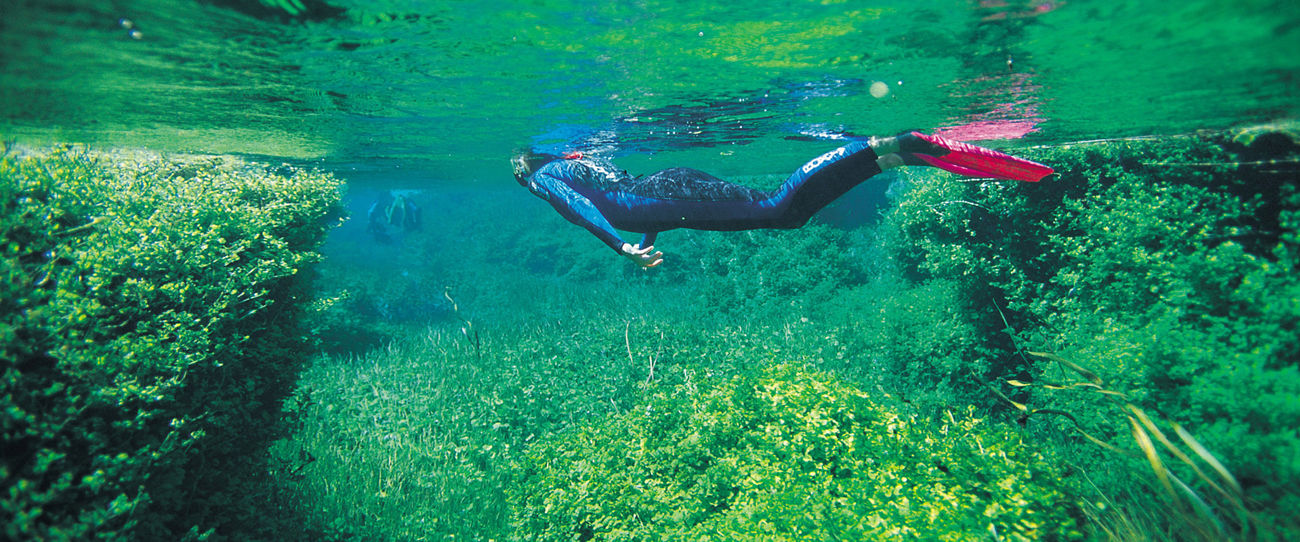 Piccaninnie Ponds, Limestone Coast