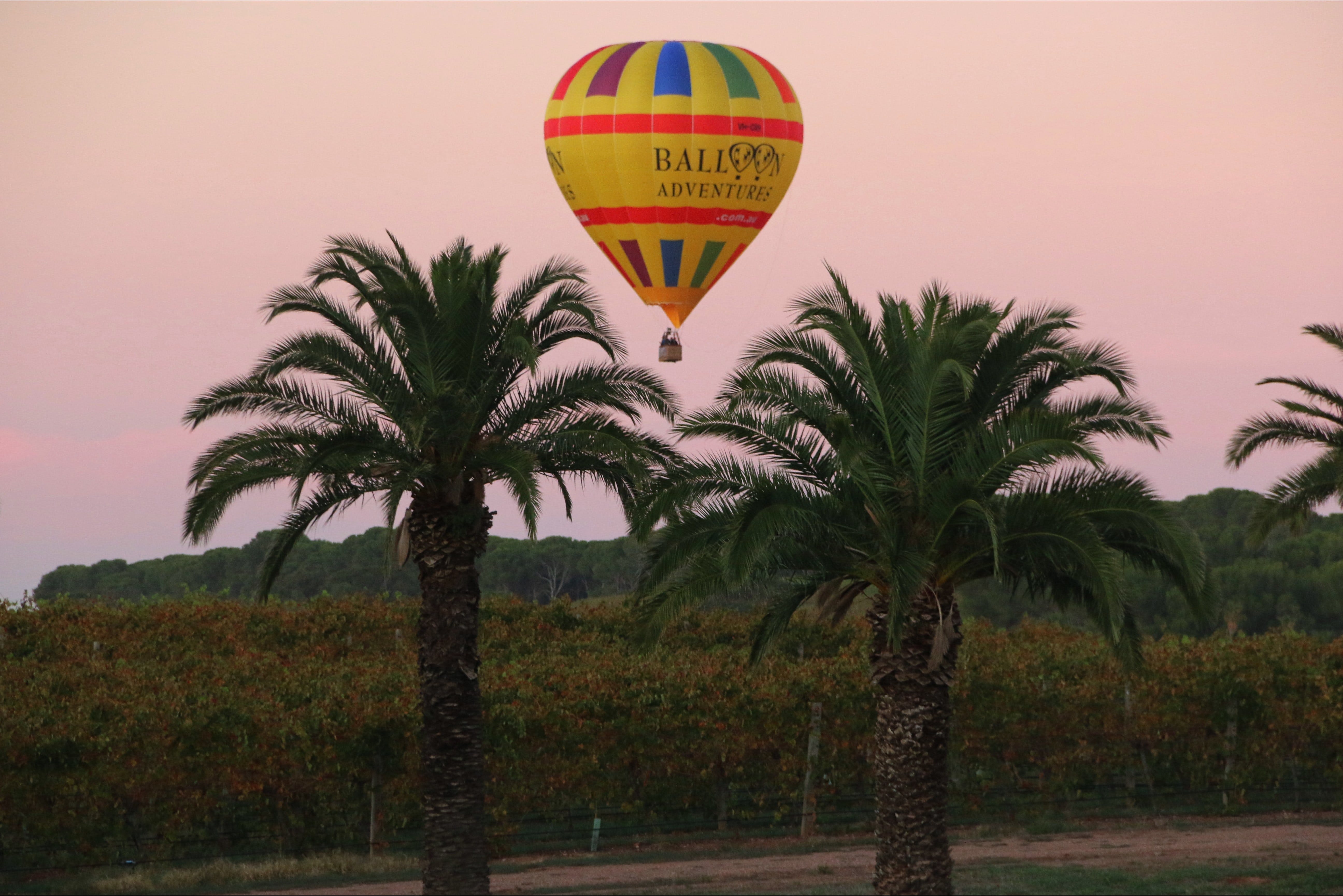 バロッサ・バルーン・アドベンチャー　Barossa Balloon Adventures