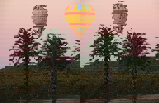 バロッサ・バルーン・アドベンチャー Barossa Balloon Adventures