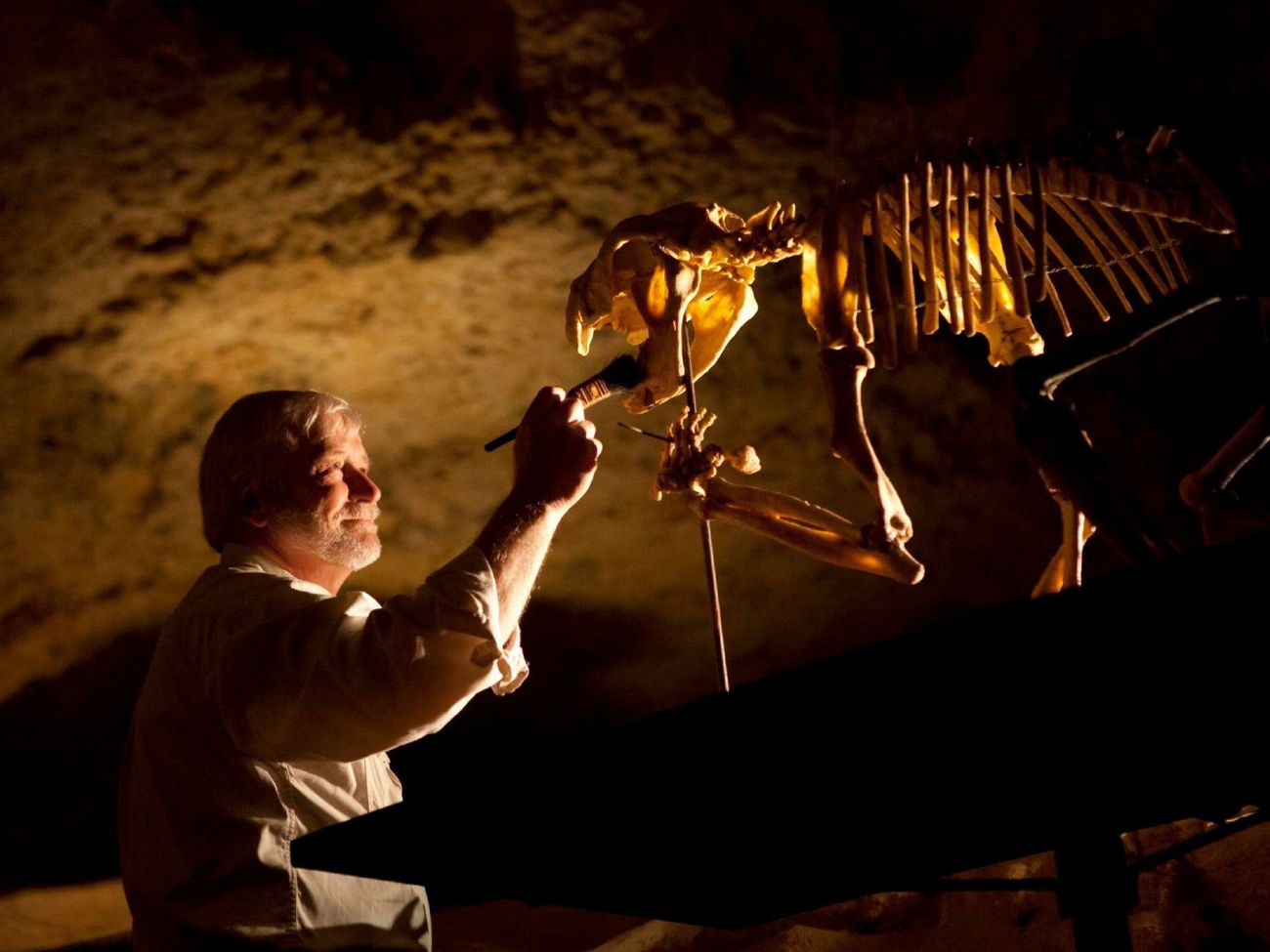 Naracoorte Caves, Limestone Coast