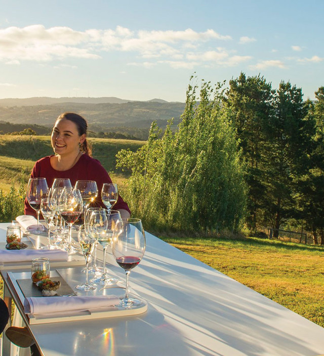 アデレードヒルズのワイナリーとセラードア