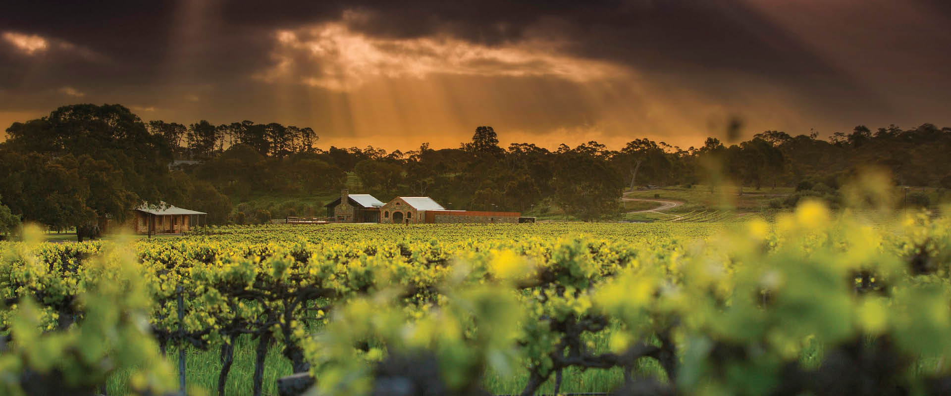 エデンバレー　Eden Valley
