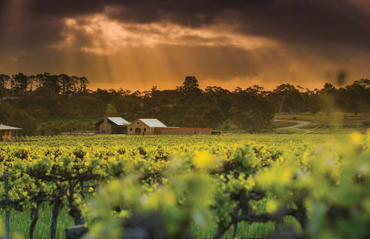 エデンバレー Eden Valley