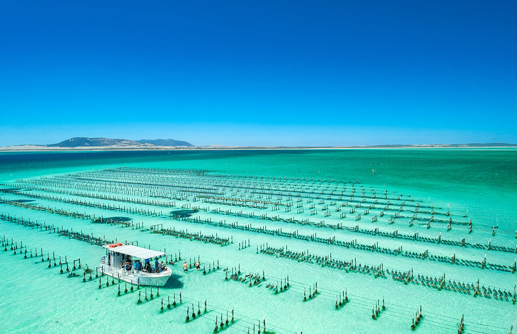 Pure Coffin Bay Oysters, La Péninsule d’Eyre