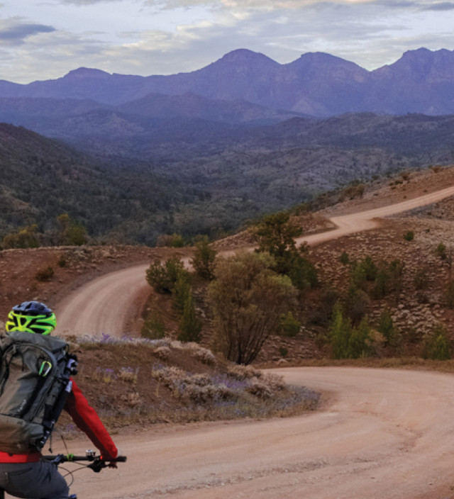 フリンダース山脈&アウトバックのおすすめアクティビティー