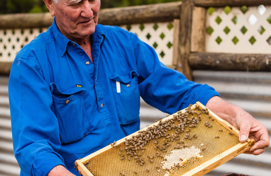 Island Beehive
