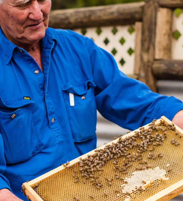 カンガルー島のグルメガイド