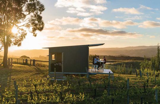 The Lane Vineyard, Adelaide Hills