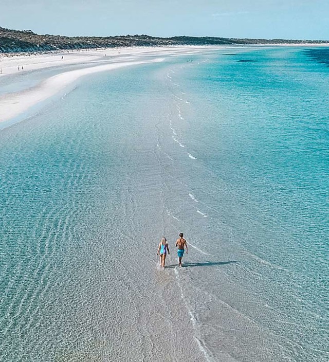 沿岸道路の旅:ヨーク半島の海岸線を思いっきり楽しむ