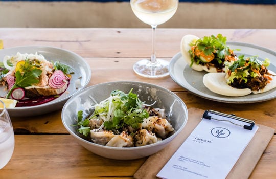 カクタス・カンガルーアイランド Cactus KI