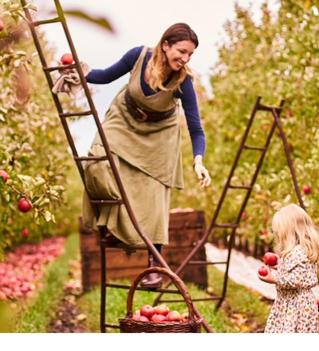 アデレードヒルズ